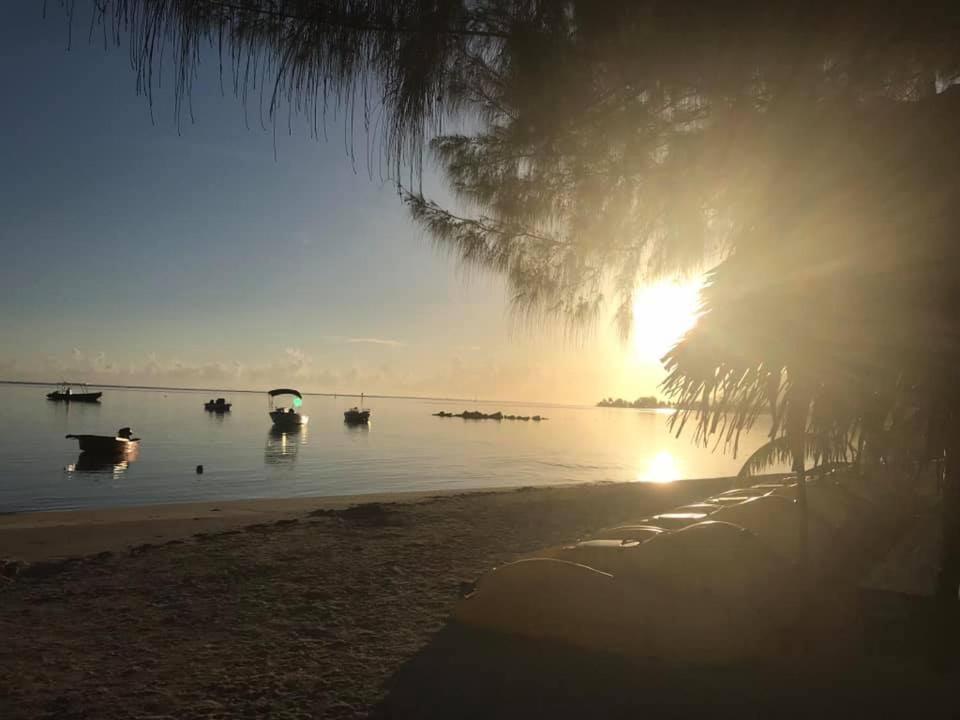 Beach De Reve De Moorea Hauru Eksteriør bilde