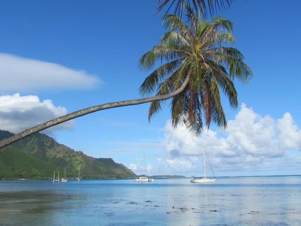 Beach De Reve De Moorea Hauru Eksteriør bilde