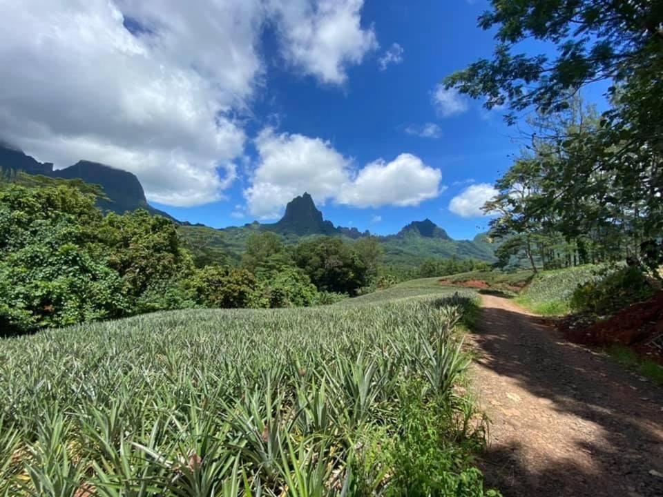 Beach De Reve De Moorea Hauru Eksteriør bilde