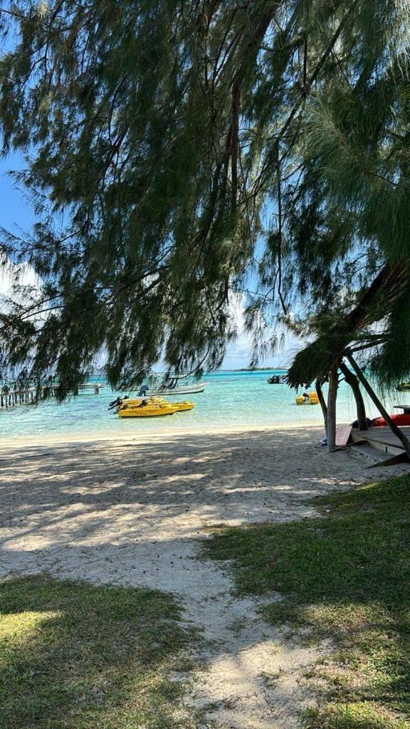Beach De Reve De Moorea Hauru Eksteriør bilde