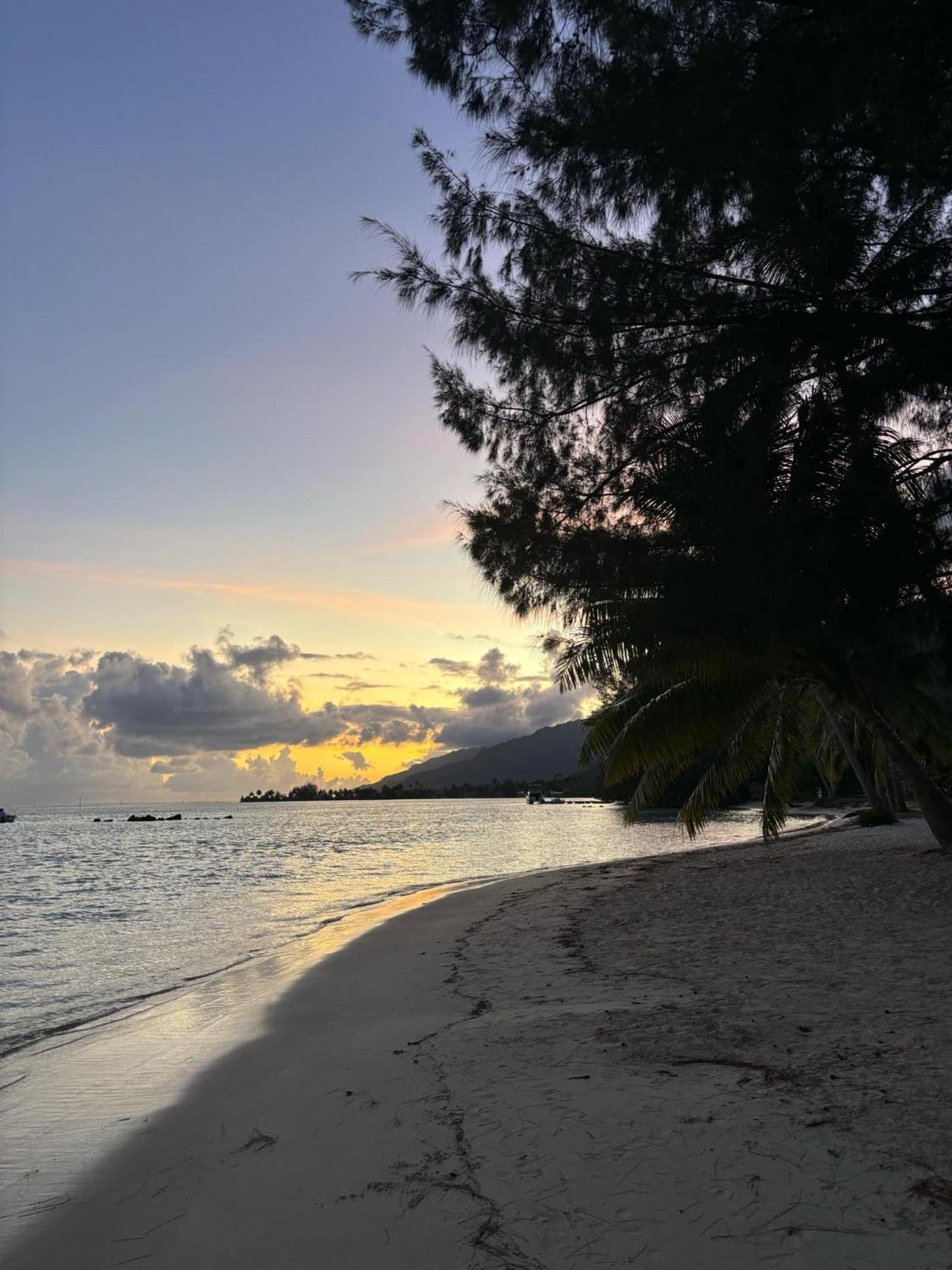 Beach De Reve De Moorea Hauru Eksteriør bilde