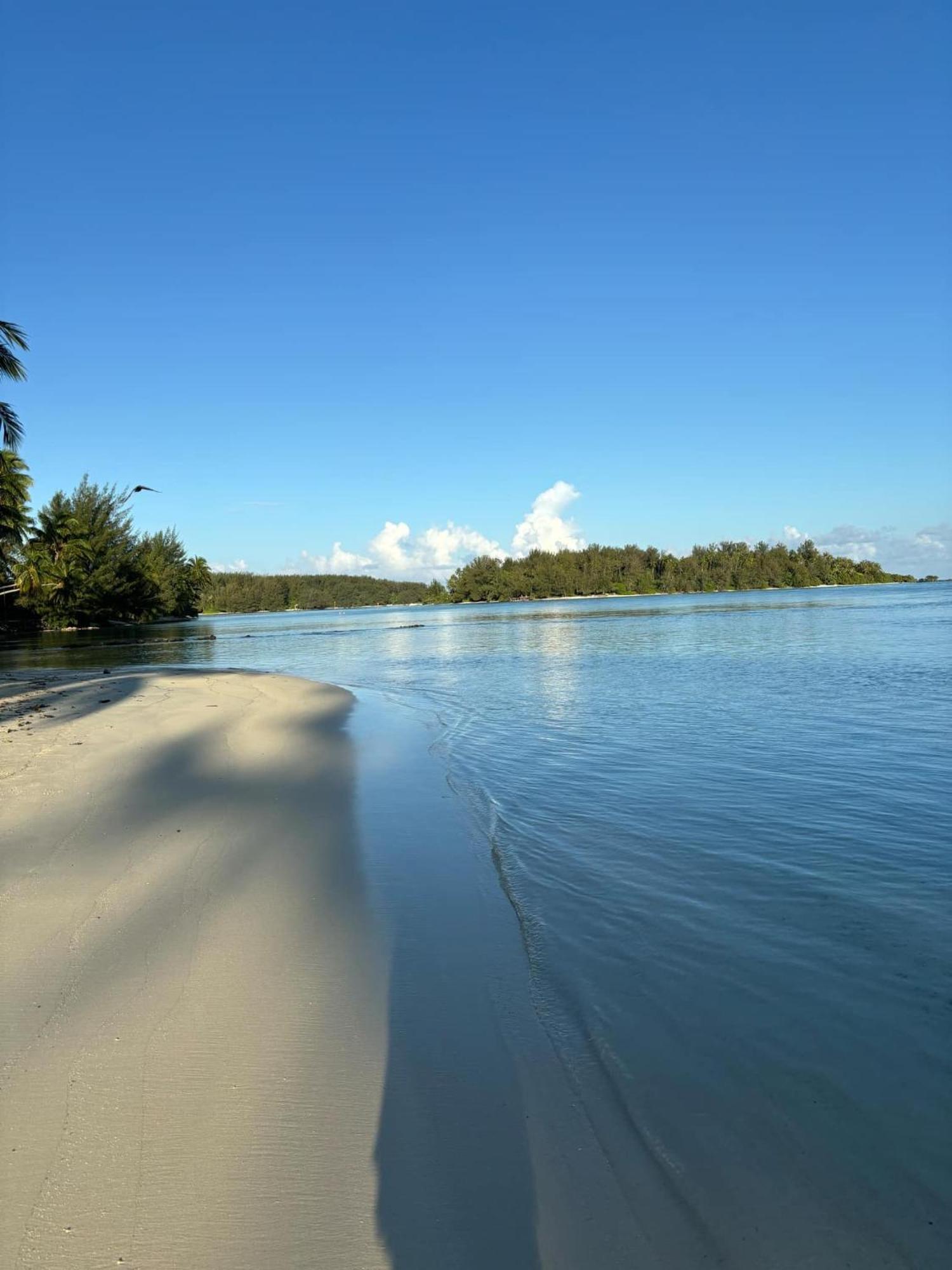 Beach De Reve De Moorea Hauru Eksteriør bilde